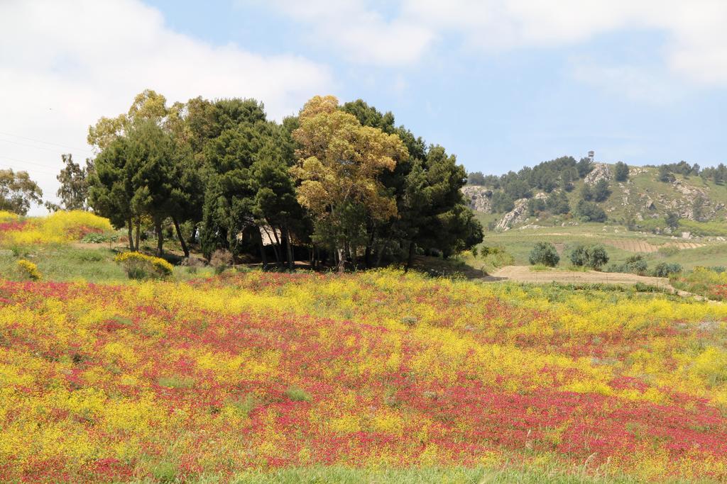 Abita Appartamenti Τράπανι Εξωτερικό φωτογραφία